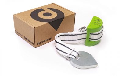 Localizzatore GPS per bestiame