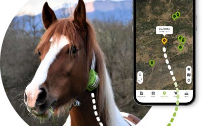 Localizzatore GPS per cavalli