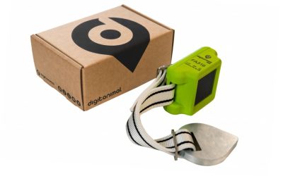 Localizzatore GPS per bestiame con pannello solare (ECO)