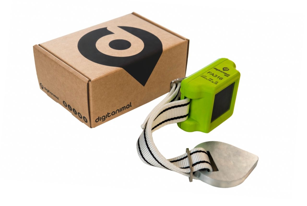 ECO Pack 1
