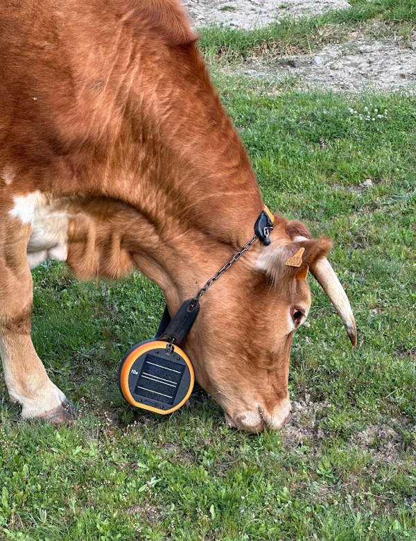 Recinzione virtuale Digitanimal
